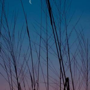 先炽热的却先变冷了