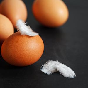 C'hanno marchiato sul volto