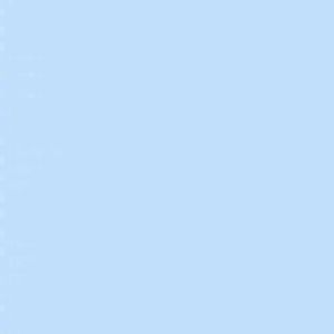 Angelfish（エンゼルフィッシュ）