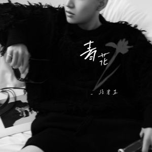 青花（恍恍惚惚 已经隔世）