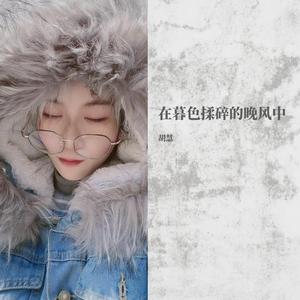 在暮色揉碎的晚风中-胡慧 伴奏