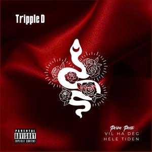 Porno Poesi (Vil ha deg hele tiden)