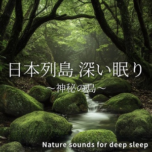 睡眠用BGM 海辺の夜風と眠りの音