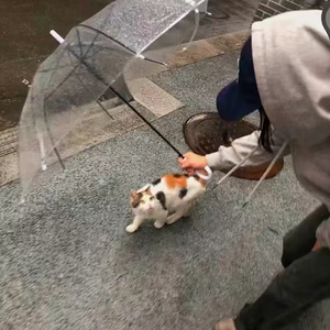 痛苦大于幸福的爱