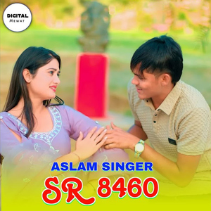 Aslam Singer SR 8460