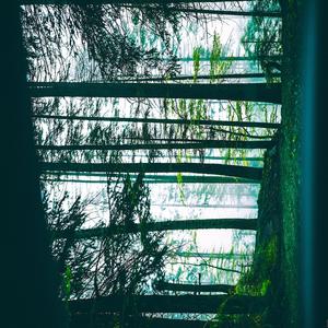 When the Stars Whisper Secrets