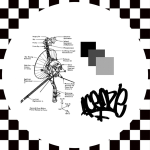 ANTI SOCIAL MEDIA (Original Mix)