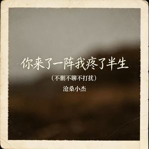 你来了一阵我疼了半生(不删不聊不打扰)