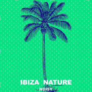 Sound 51 (Ibiza Son Remix)