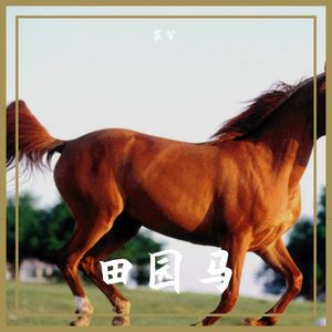 田园马 (3)