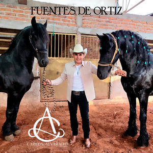 Fuentes De Ortiz
