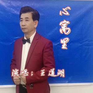 心窝里