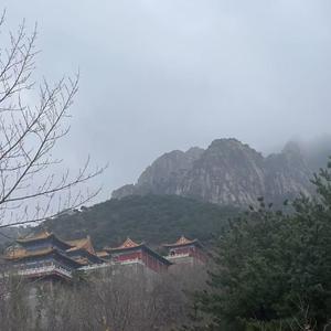 爱在有你的国度