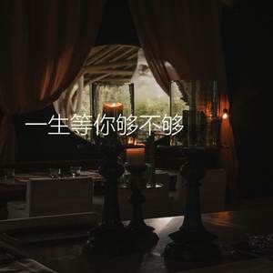 一生等你够不够