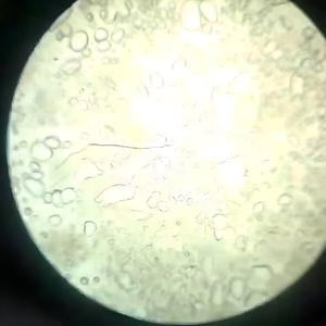 Please, Please, Please, Let Me Get What I Want