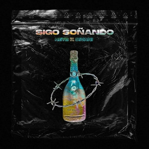 SIGO SOÑANDO