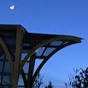 我想要 （温柔男声版）（翻自 盖君炎）