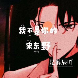 我不是你的宋冬野