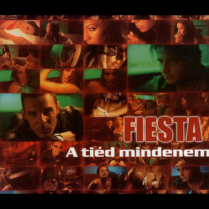 Nem mondtam el (radio version)
