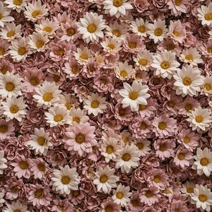 城北的花 (乘风2026 第2期现场)