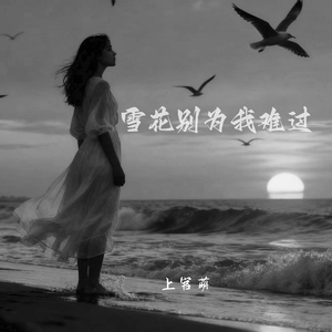 雪花别为我难过