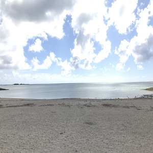 星屑とブルース