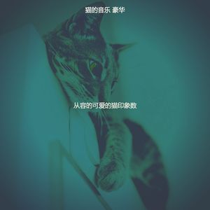 微妙的放松的猫心情