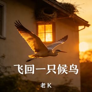 飞回一只候鸟