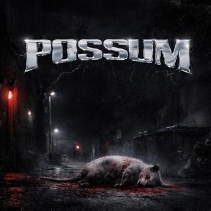 Possum (feat. 2Rich & MikeDaJit)