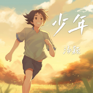 少年