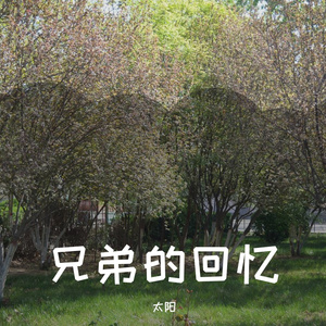 短仔仔