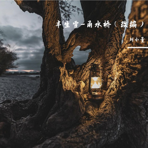 半生雪-甬水桥（翻唱+AI）