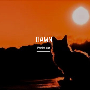 DAWN