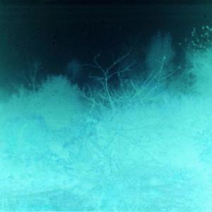 免费伴奏【FREE】Lose