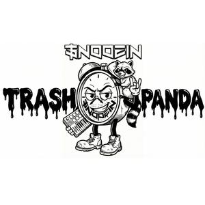 Trash Panda
