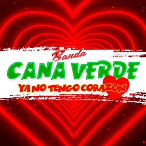 Nueve Vidas y Siete Amores