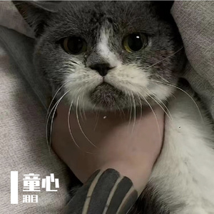 童心-整曲 伴奏