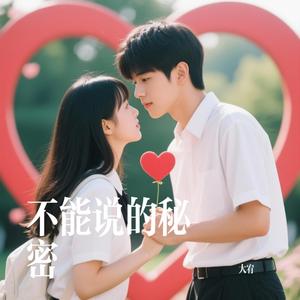 不能说的秘密