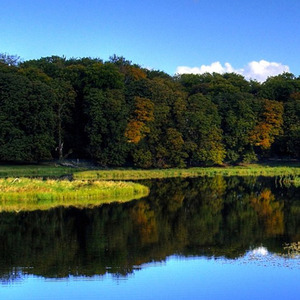 男人就要闯天下