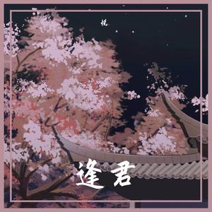 逢君（剧情版）