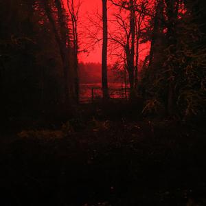 Comfy (feat. Dawsxn)