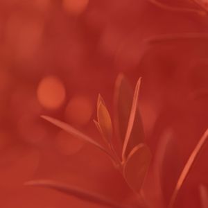 一尘不染桑拿印象数