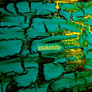 Snakebite (Radio Edit)
