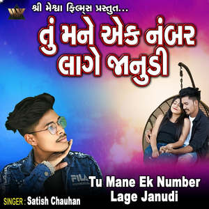 Tu Mane Ek Number Lage Janudi