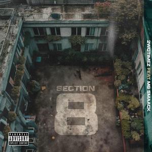 Section 8 (feat. MG Smack)