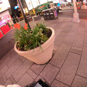 Amazing Band of the Year Over