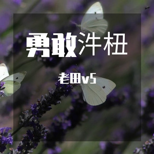 Watermelon Boy-机械瓷（老田v5 remix）
