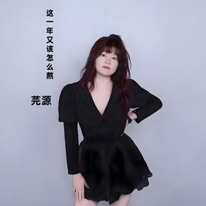 这一年又该怎么熬   伴奏