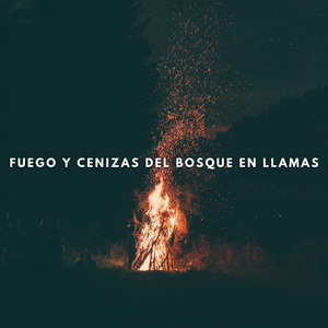 Sonidos De Fuego