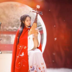 雪落下的声音（琵琶）乐落清音（翻自 周深）